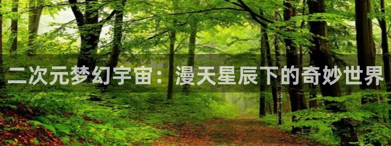 51动漫网站免费观看：二次元梦幻宇宙：漫天星辰下的奇妙世界