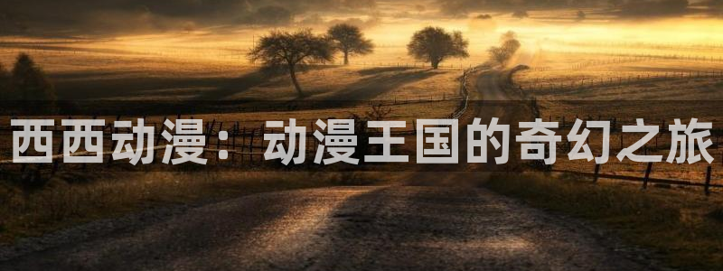 51动漫网下载：西西动漫：动漫王国的奇幻之旅