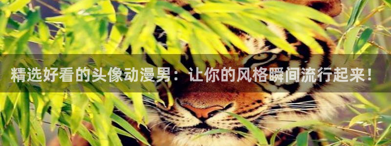 51动漫网站免费看nba：精选好看的头像动漫男：让你的风格瞬间流行起来！
