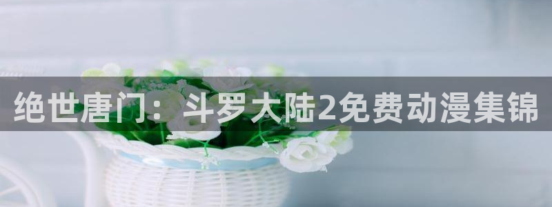 51动漫免费：绝世唐门：斗罗大陆2免费动漫集锦