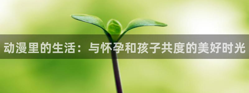 51动漫免费网站入口