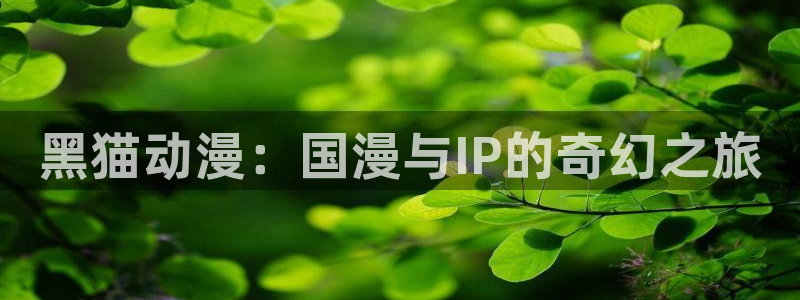 51动漫免费看：黑猫动漫：国漫与IP的奇幻之旅